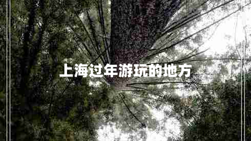 上海過年游玩的地方