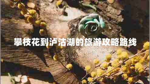 攀枝花到瀘沽湖的旅游攻略路線