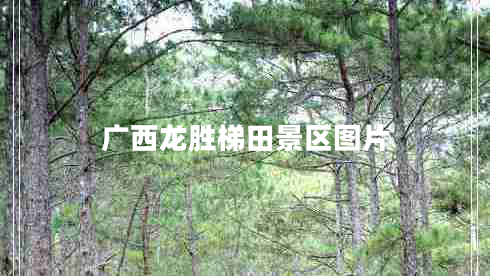 廣西龍勝梯田景區(qū)圖片