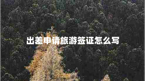 出差申請(qǐng)旅游簽證怎么寫(xiě) 出差申請(qǐng)旅游簽證怎么寫(xiě)
