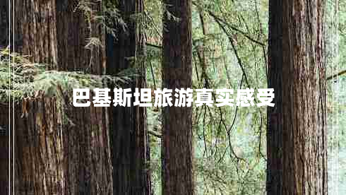 巴基斯坦旅游真實感受 巴基斯坦旅游真實感受