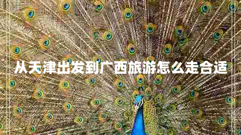 從天津出發(fā)到廣西旅游怎么走合適 從天津出發(fā)到廣西旅游怎么走合適