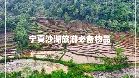 寧夏沙湖旅游必備物品