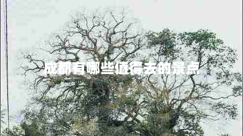 成都有哪些值得去的景點