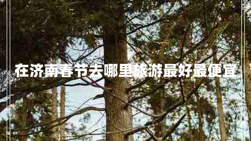 在濟(jì)南春節(jié)去哪里旅游最好最便宜