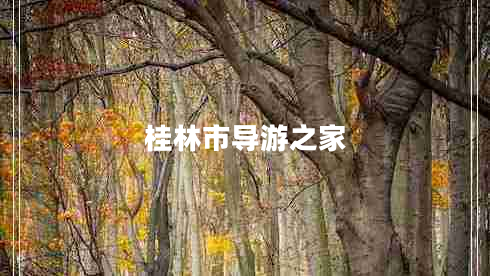 桂林市導游之家 桂林市導游之家