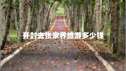 開(kāi)封去張家界旅游多少錢(qián)