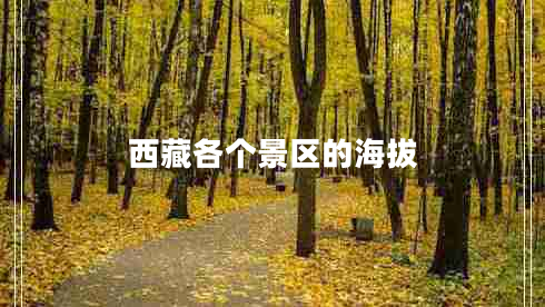 西藏各個(gè)景區(qū)的海拔