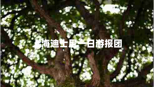 上海迪士尼一日游報(bào)團(tuán)