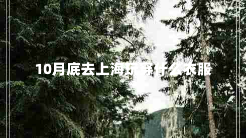 10月底去上海玩穿什么衣服