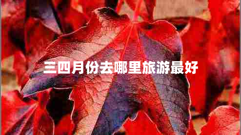 三四月份去哪里旅游最好
