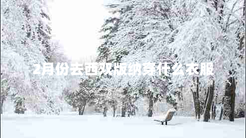 2月份去西雙版納穿什么衣服 2月份去西雙版納穿什么衣服