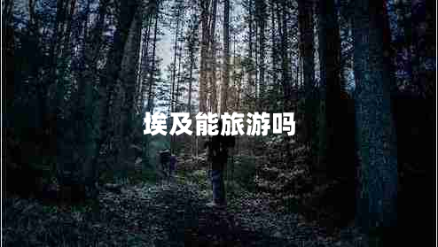 埃及能旅游嗎 埃及能旅游嗎