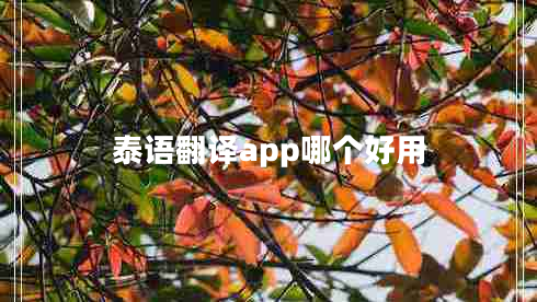 泰語翻譯app哪個(gè)好用