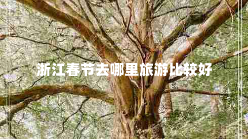 浙江春節(jié)去哪里旅游比較好