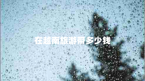 在越南旅游帶多少錢