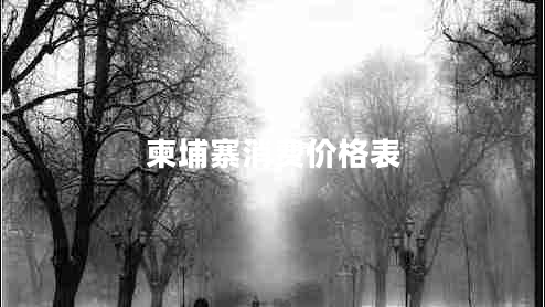 柬埔寨消費價格表