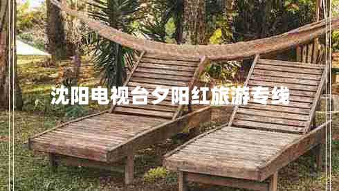 沈陽電視臺(tái)夕陽紅旅游專線