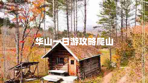 華山一日游攻略爬山