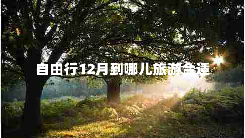 自由行12月到哪兒旅游合適