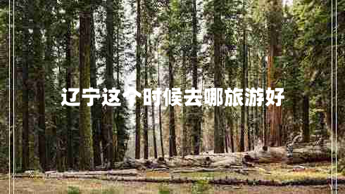 遼寧這個(gè)時(shí)候去哪旅游好