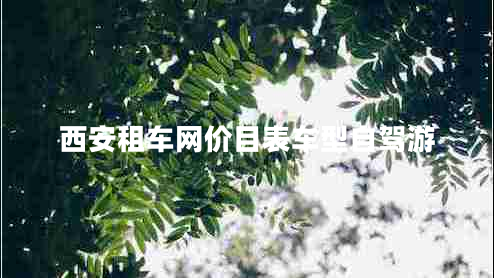 西安租車網(wǎng)價目表車型自駕游