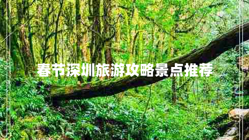 春節(jié)深圳旅游攻略景點(diǎn)推薦 春節(jié)深圳旅游攻略景點(diǎn)推薦