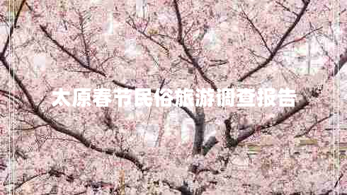 太原春節(jié)民俗旅游調查報告