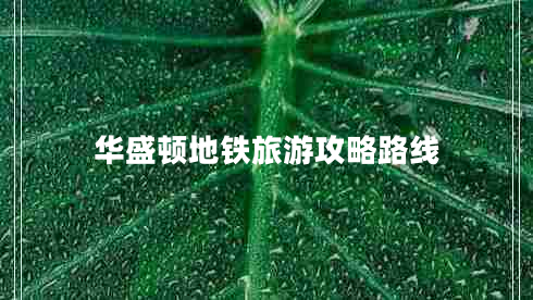 華盛頓地鐵旅游攻略路線