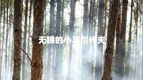 無錫的小馬爾代夫