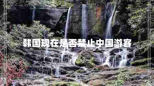 韓國現(xiàn)在是否禁止中國游客 韓國現(xiàn)在是否禁止中國游客