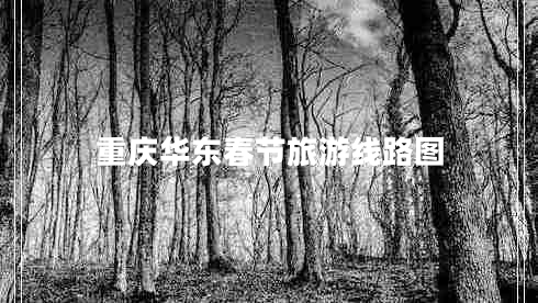 重慶華東春節(jié)旅游線路圖