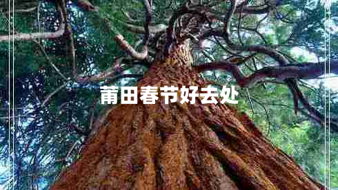 莆田春節(jié)好去處 莆田春節(jié)好去處