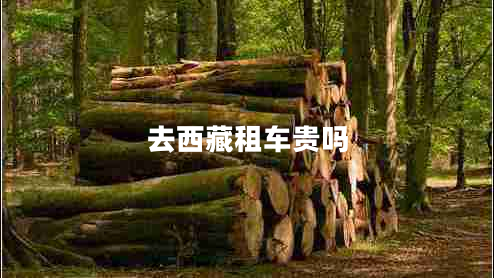 去西藏租車貴嗎