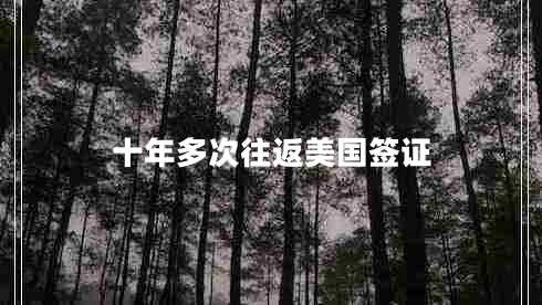 十年多次往返美國簽證