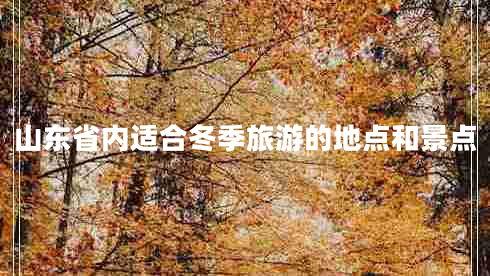 山東省內(nèi)適合冬季旅游的地點(diǎn)和景點(diǎn)