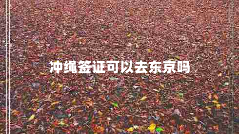 沖繩簽證可以去東京嗎 沖繩簽證可以去東京嗎