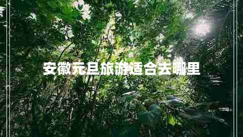 安徽元旦旅游適合去哪里