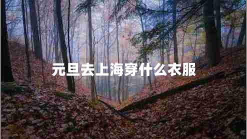元旦去上海穿什么衣服 元旦去上海穿什么衣服