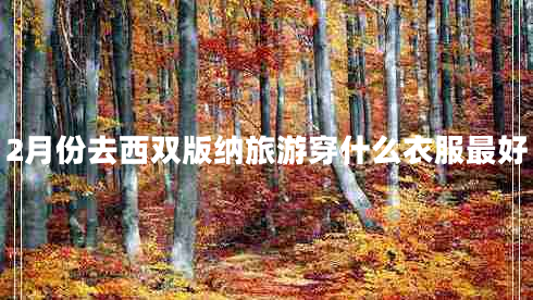 2月份去西雙版納旅游穿什么衣服最好