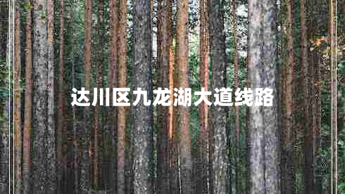 達川區(qū)九龍湖大道線路
