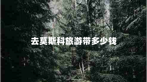 去莫斯科旅游帶多少錢 去莫斯科旅游帶多少錢