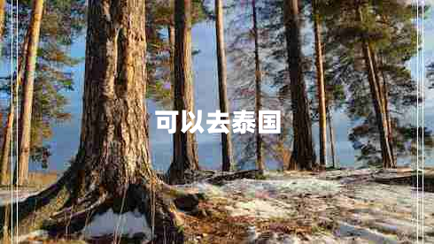 可以去泰國 可以去泰國