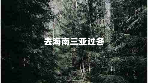 去海南三亞過(guò)冬