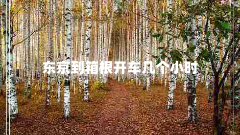 東京到箱根開(kāi)車(chē)幾個(gè)小時(shí)