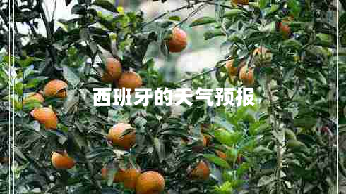 西班牙的天氣預(yù)報