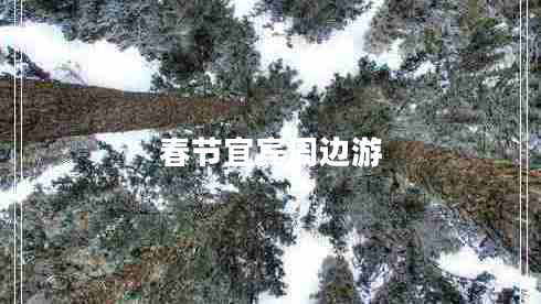 春節(jié)宜賓周邊游