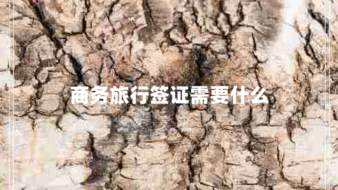 商務旅行簽證需要什么 商務旅行簽證需要什么