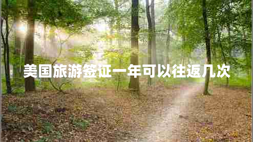 美國旅游簽證一年可以往返幾次