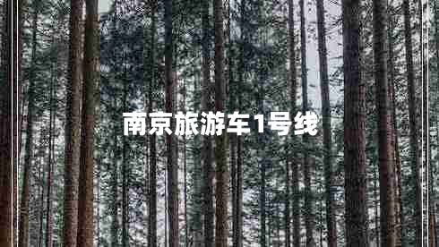 南京旅游車1號(hào)線